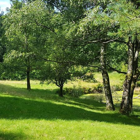 Apartament Le Grand Tetras - Col Du Donon Grandfontaine  Pokój zdjęcie