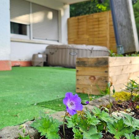 Apartament Le Grand Tetras - Col Du Donon Grandfontaine  Zewnętrze zdjęcie