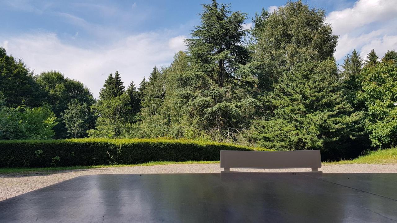 Apartament Le Grand Tetras - Col Du Donon Grandfontaine  Zewnętrze zdjęcie
