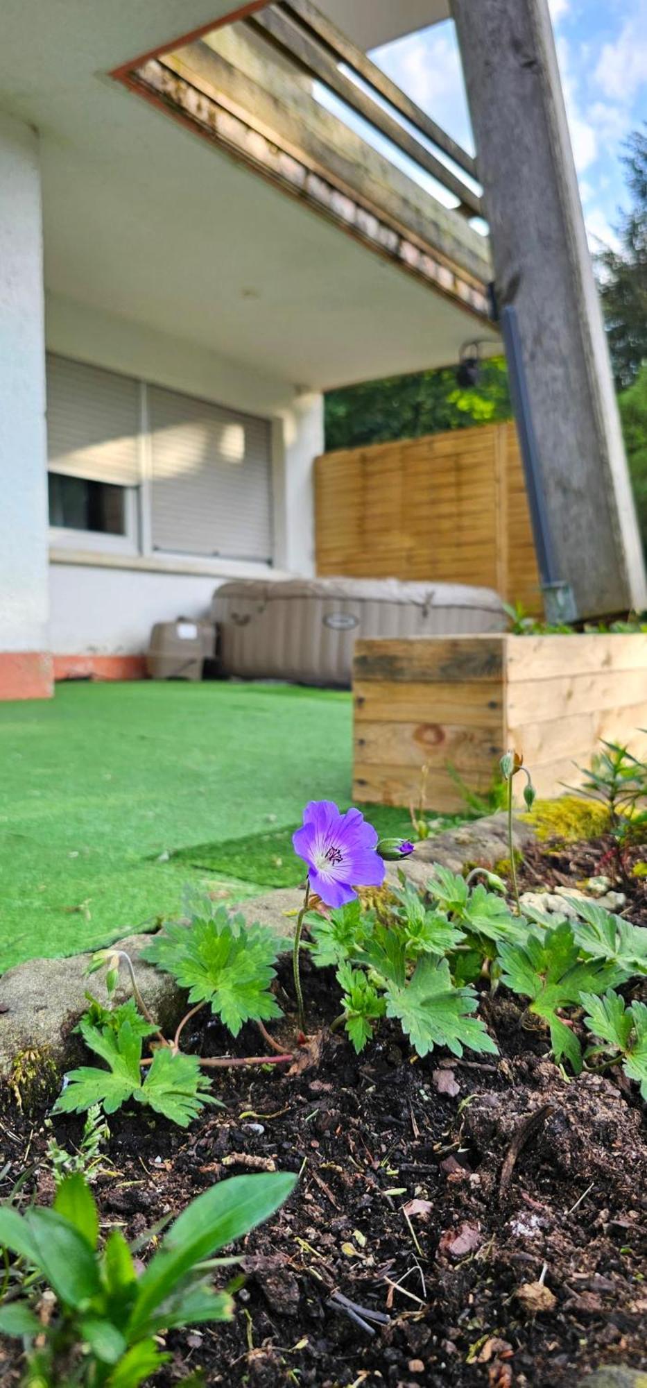 Apartament Le Grand Tetras - Col Du Donon Grandfontaine  Zewnętrze zdjęcie